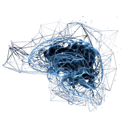 neuro réflexologie