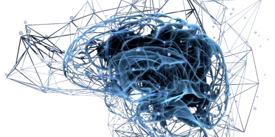 Virginie Coste Réflexologue Dijon neuro réflexologie